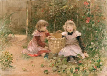 The Strawberry Patch (wc no papel)